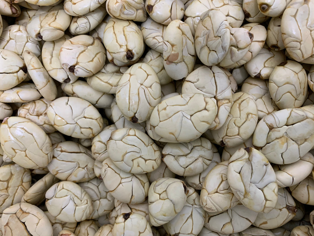 Macambo-Jaguar White Cocoa Beans