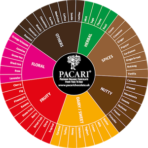 Online Pacari Family Group Chocolate Tasting Experience (UK only)